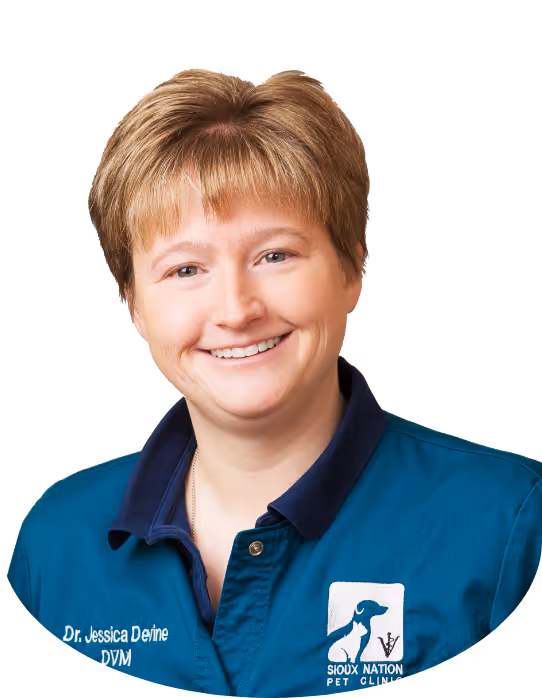 staff profile