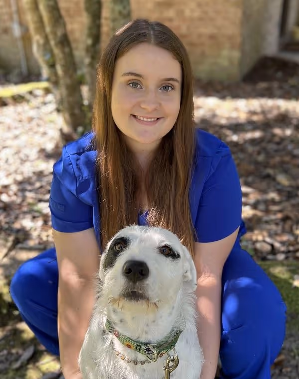 staff profile