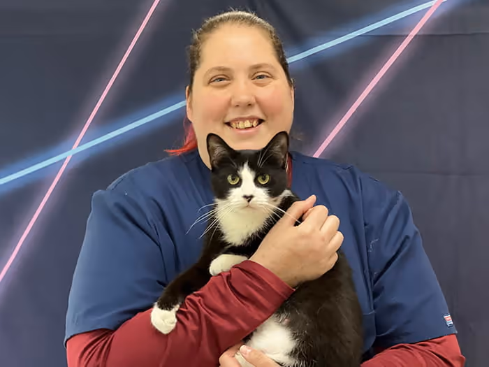 staff profile