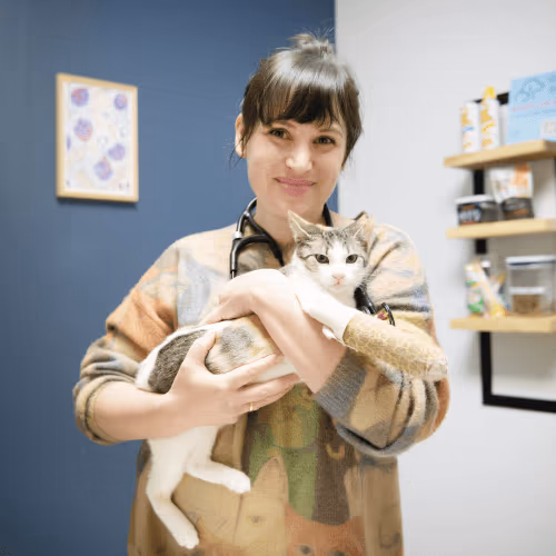 staff profile