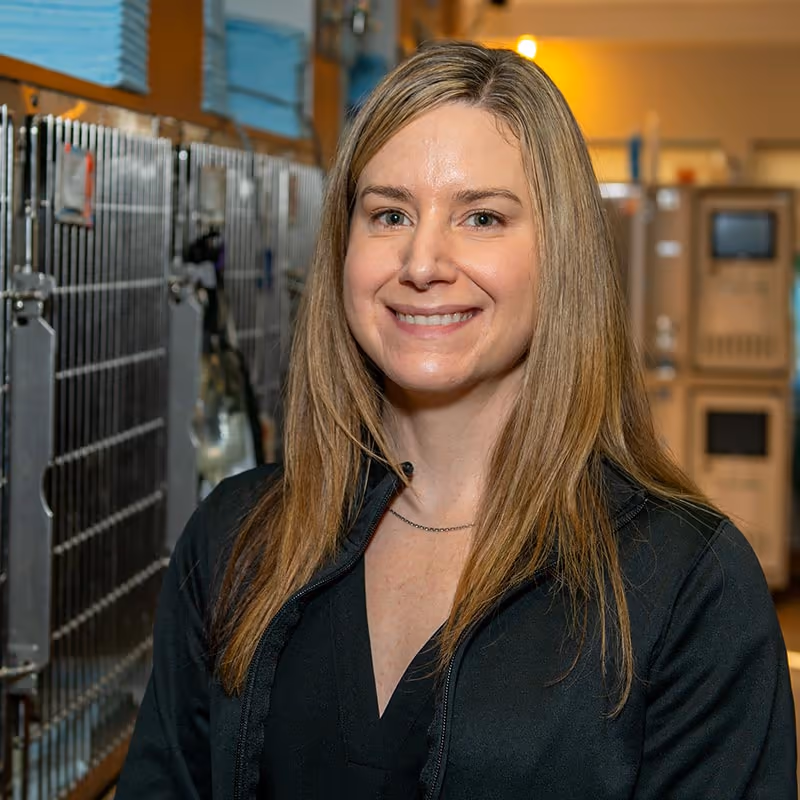 staff profile