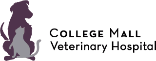 staff profile