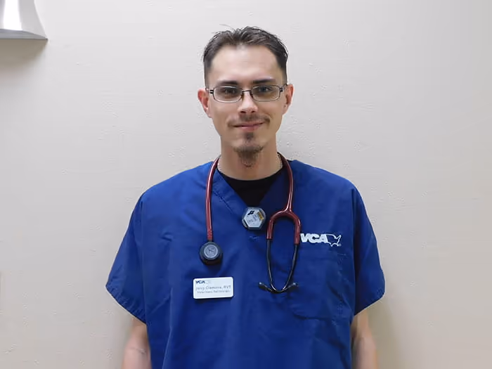 staff profile