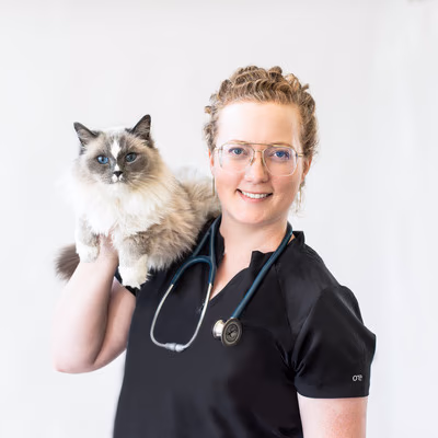 staff profile