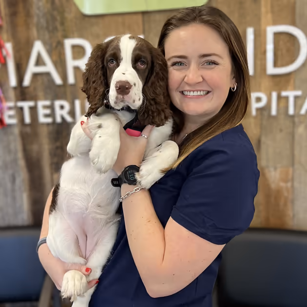 staff profile