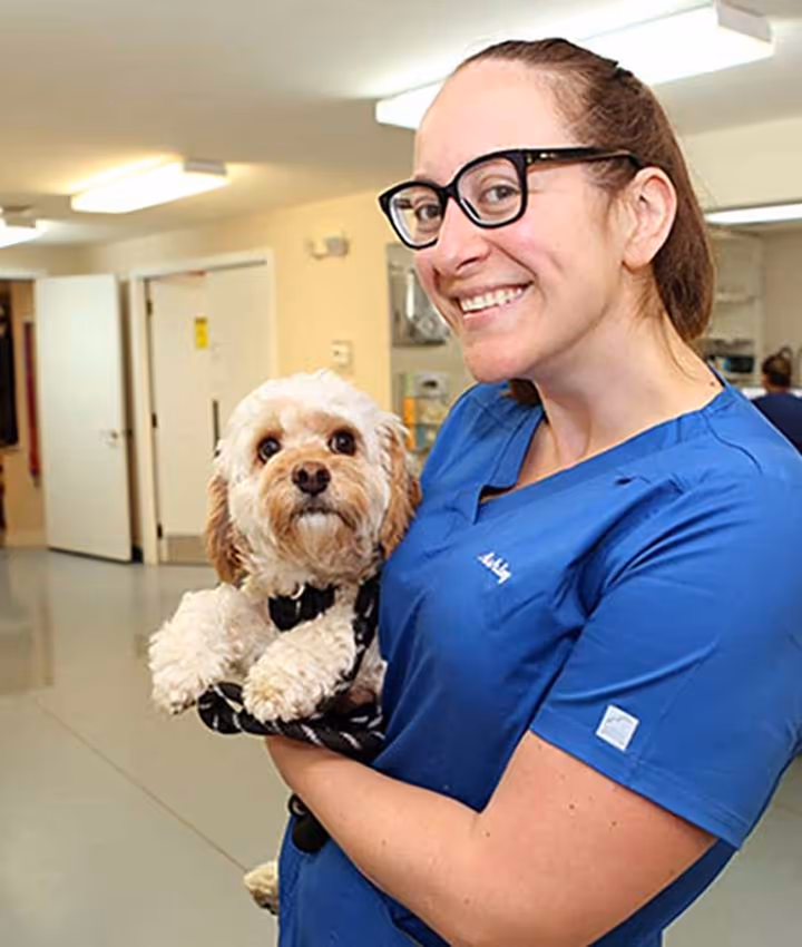 staff profile