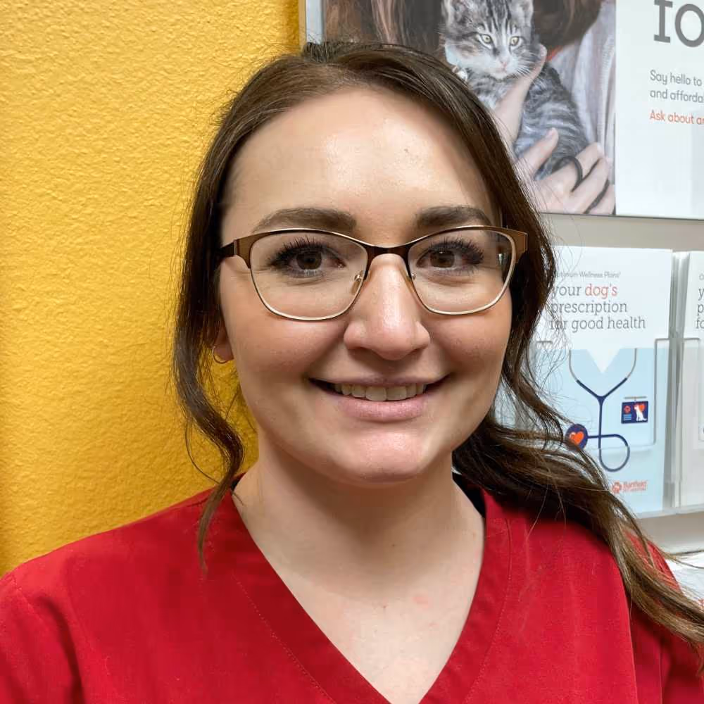 staff profile