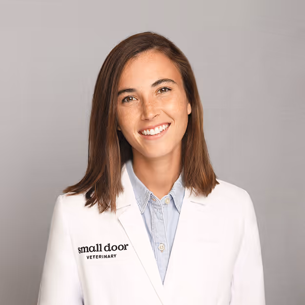 staff profile