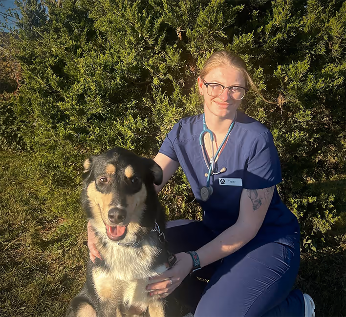 staff profile
