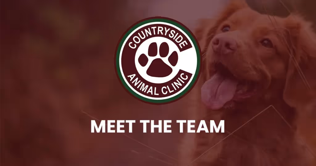 staff profile