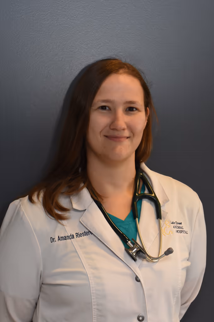 staff profile