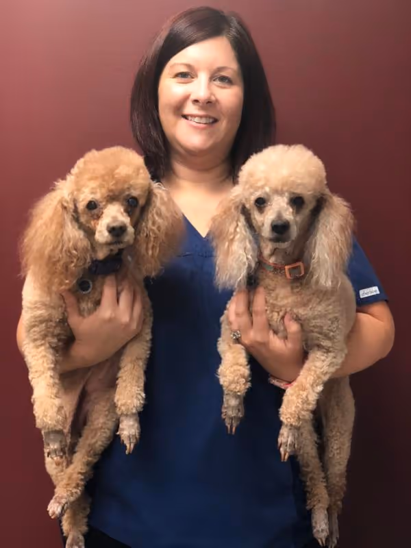 staff profile