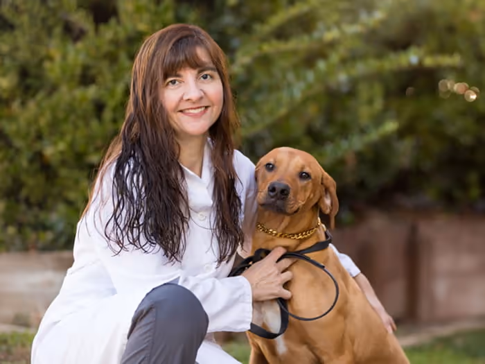 staff profile