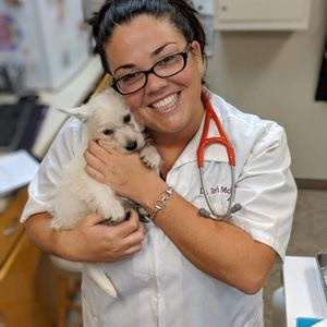 staff profile