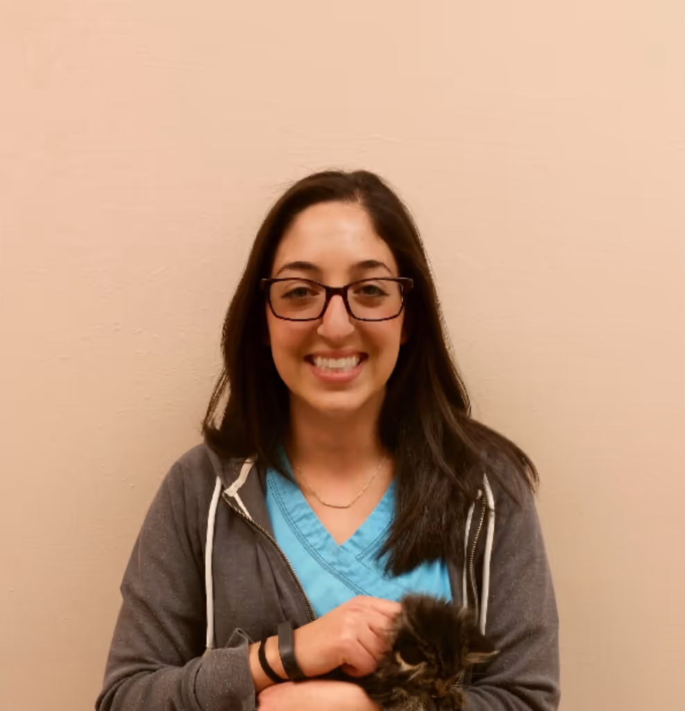 staff profile
