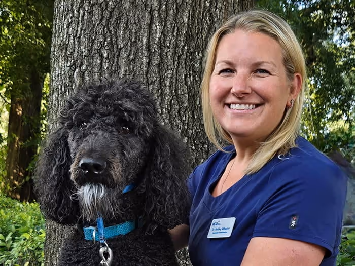staff profile