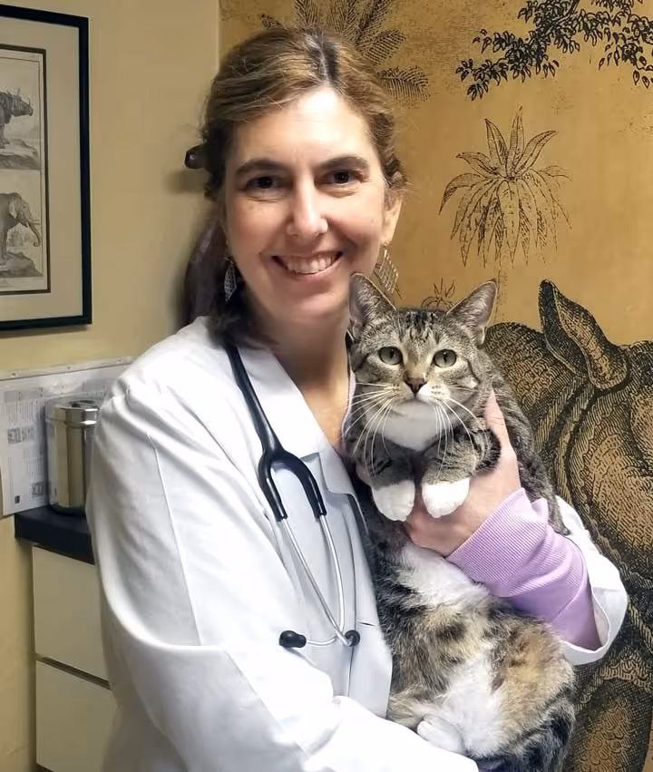 staff profile