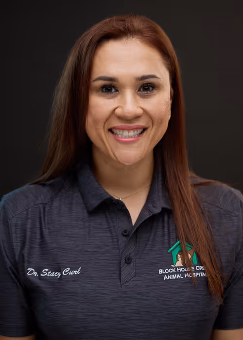 staff profile