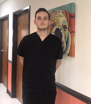 staff profile