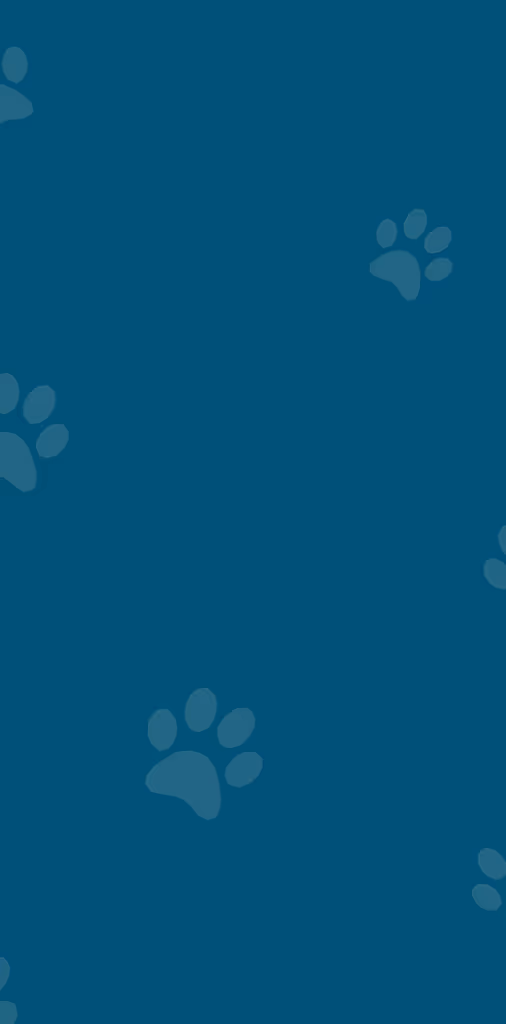 staff profile