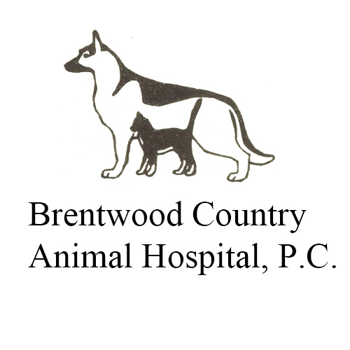 facility profile image