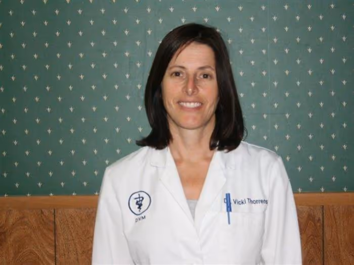 staff profile