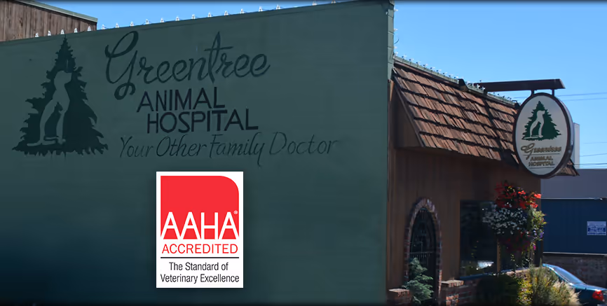 staff profile