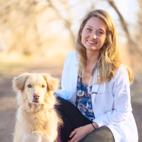 staff profile