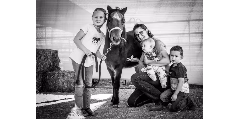 Legacy Veterinary Services - Pet services facility