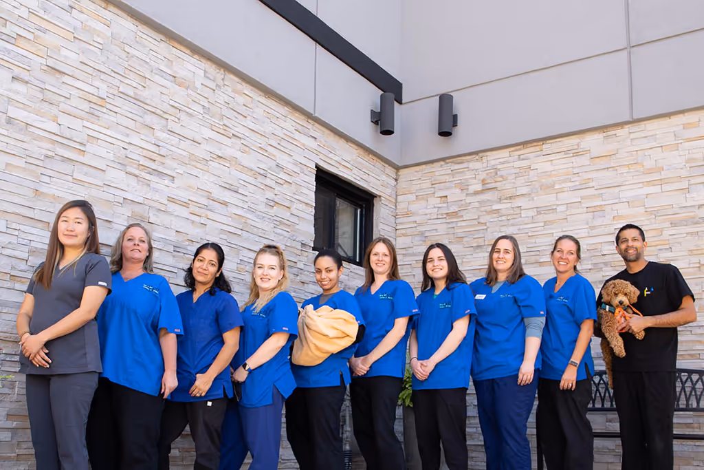 staff profile
