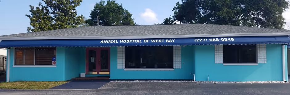 facility profile image