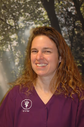 staff profile