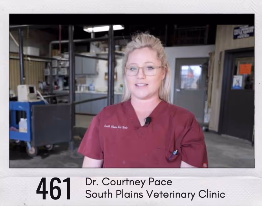 staff profile