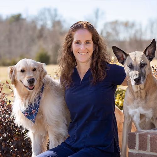 staff profile