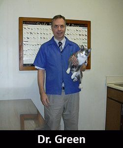 staff profile