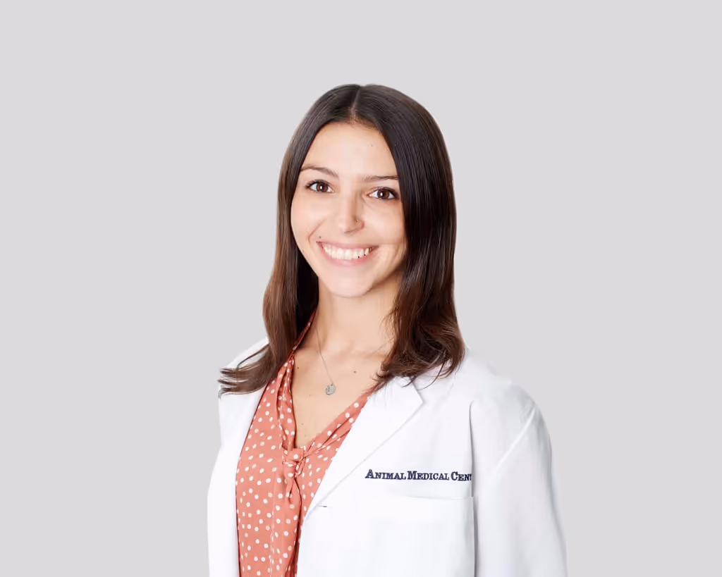 staff profile