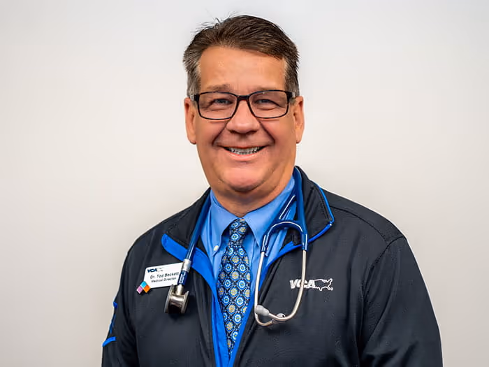 staff profile