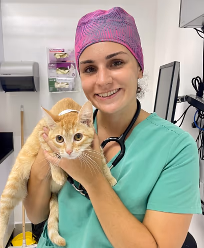 staff profile