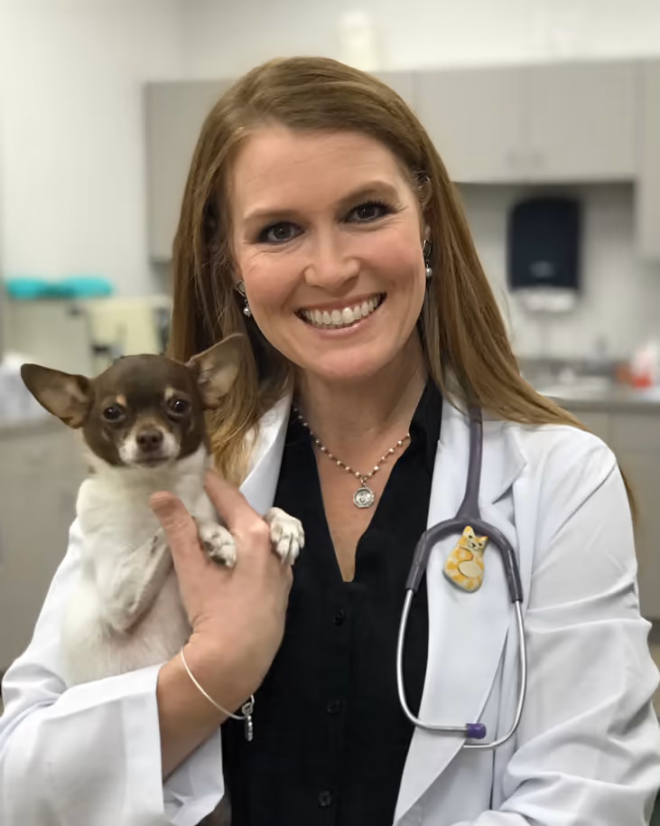 staff profile