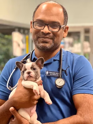 staff profile
