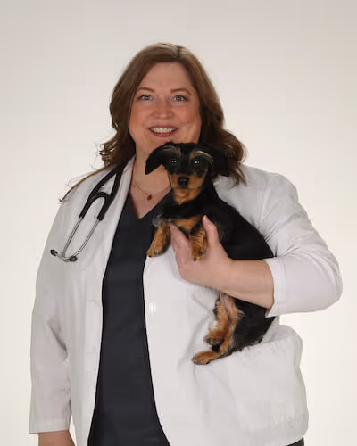 staff profile