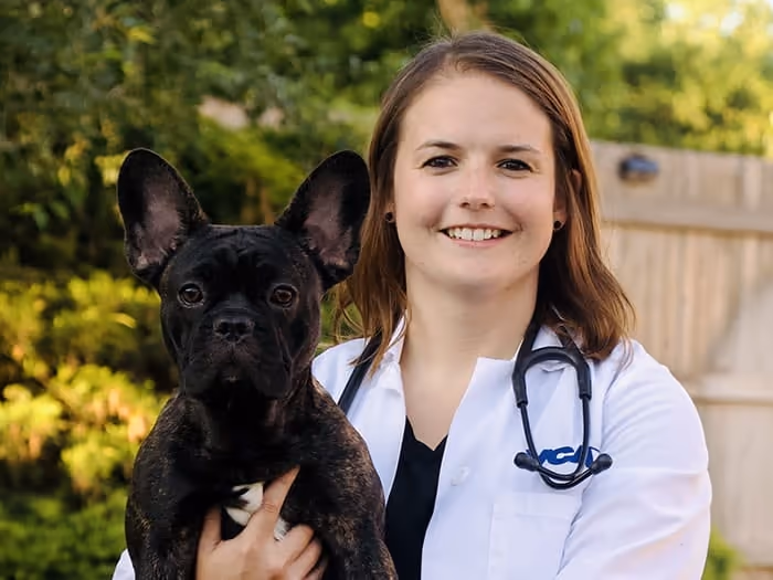 staff profile