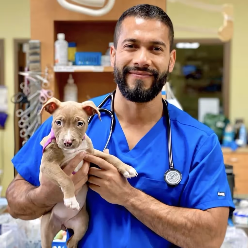 staff profile