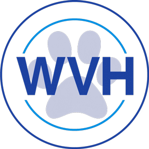 facility profile image