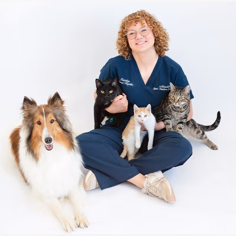 staff profile