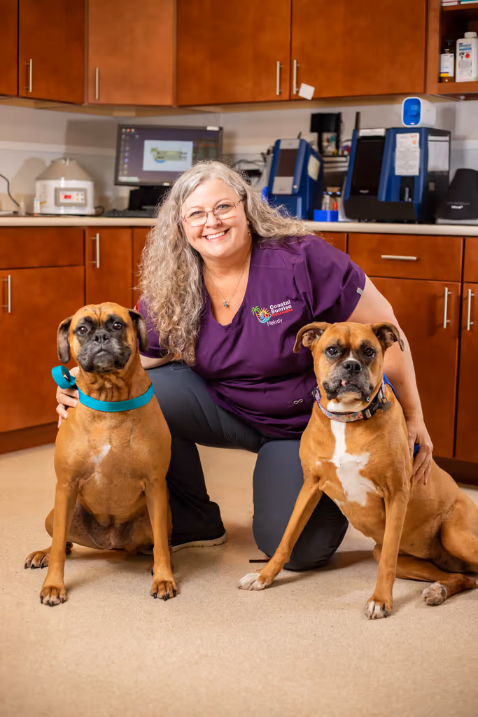 staff profile