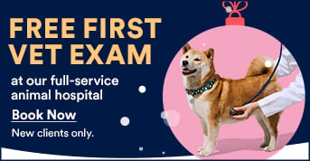 VETCO Clinics - Pet services facility