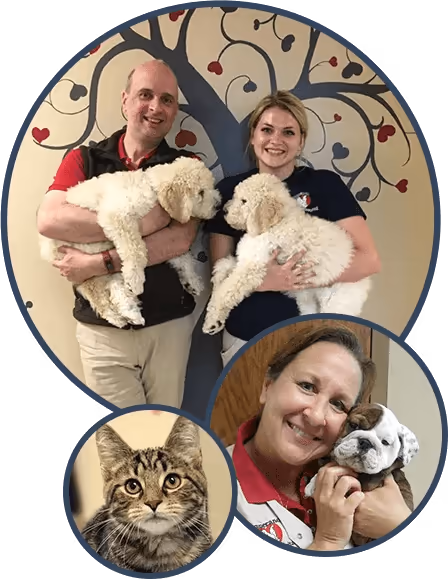 staff profile