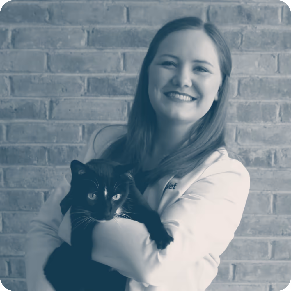 staff profile
