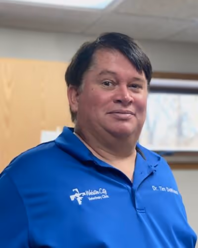 staff profile
